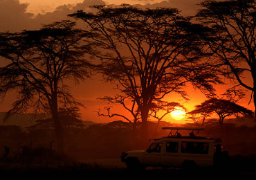 8 Days-Safari