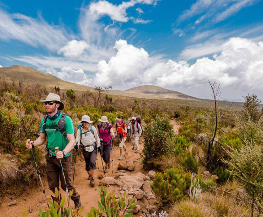 Lemosho Route