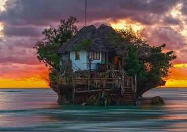 Safari & Zanzibar